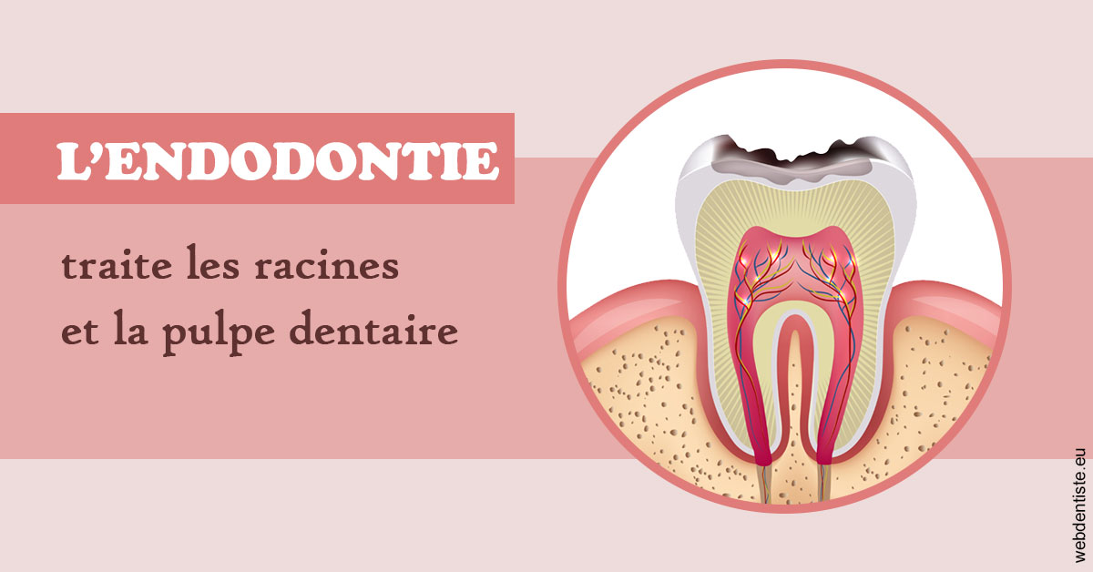 https://dr-dada-karim.chirurgiens-dentistes.fr/L'endodontie 2