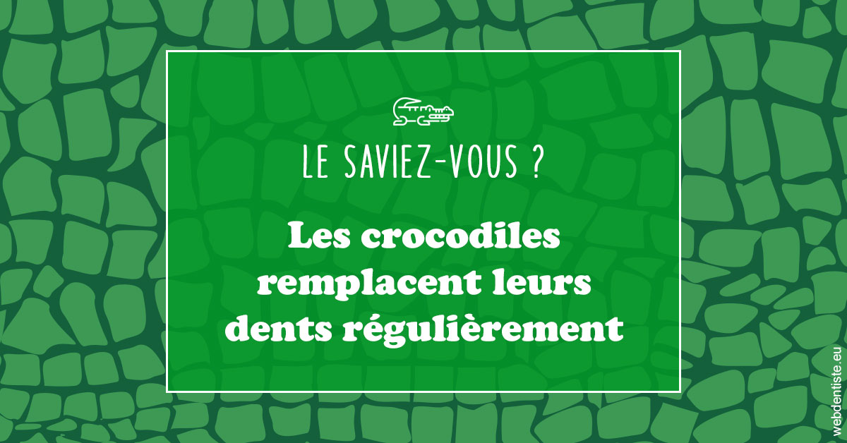 https://dr-dada-karim.chirurgiens-dentistes.fr/Crocodiles 1