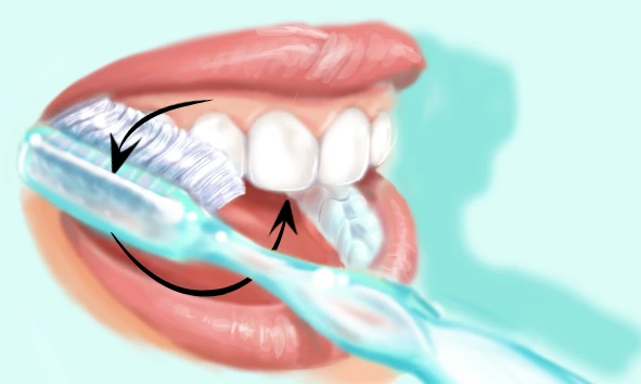 Technique de brossage des dents 3